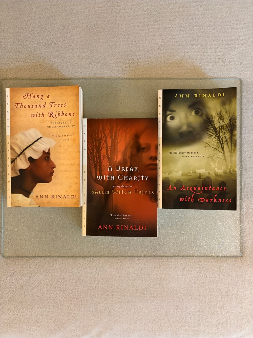 Ann Rinaldi bundle